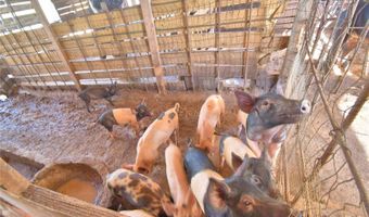 715 FAZZINI Rd, Babson Park, FL 33827