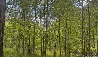 V/L Wolf Crossing, Bakersville, NC 28705