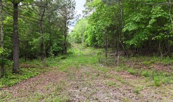 6020 Eaglewood Ln, Birchwood, TN 37308