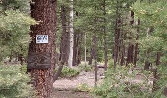 Lot 8 Back Basin, Angel Fire, NM 87710
