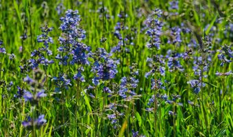 475 E ALTA SKI HILL Rd, Alta, WY 83414