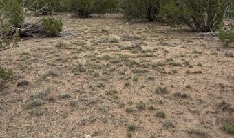 55 ACR 8050 14, Concho, AZ 85924