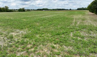 290 CR, Asbury, MO 64832