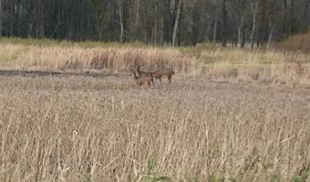 Dumke Lane, Abrams, WI 54101