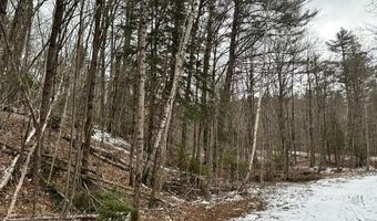 10-3 18 Myrtle St, Campton, NH 03223