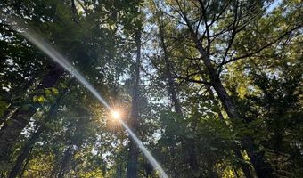 0 Military Rd, Beaverton, AL 35544