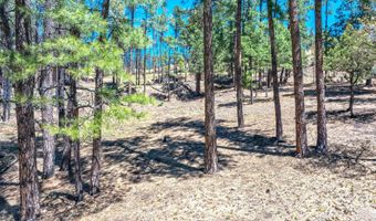 223 Lake Shore Dr Lot 1, Alto, NM 88312