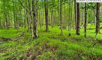 Es-97 Twisted Oak Path, Banner Elk, NC 28604