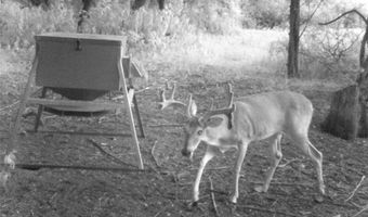 Tbd Fm-1304, Aquilla, TX 76622