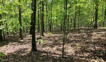 0 County Road 224, Alton, MO 65606