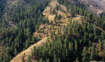 0 Pine Acres Way, Bellvue, CO 80512