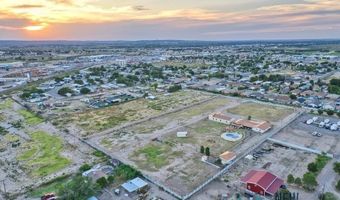 1007 Carnation Aly, Carlsbad, NM 88220