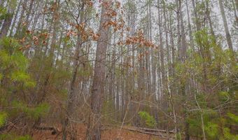 Long Cane Ame Rd, Abbeville, SC 29620