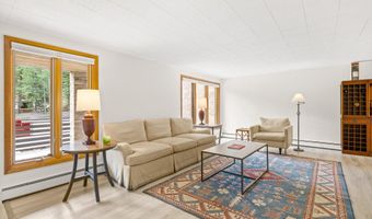1501 Maroon Creek Rd #2, Aspen, CO 81611