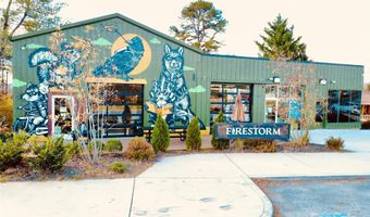 46 Belmont Ave, Asheville, NC 28806