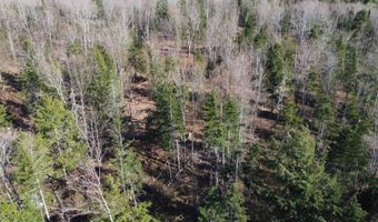 Atwood Road lot 4, Brighton, VT 05846