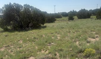5064 Concho Dr 385, Concho, AZ 85924