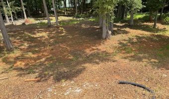 2032 Turkey Mountain Rd, Amherst, VA 24521