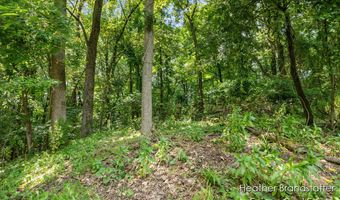 7670 Wood Violet Ct SE, Ada, MI 49301