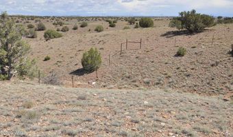 19 C & D County Rd N9033, Concho, AZ 85924