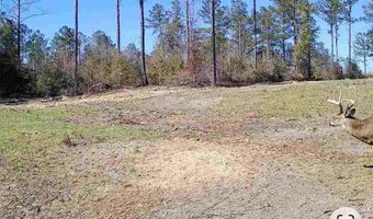1139 W CR 19, Ariton, AL 36311