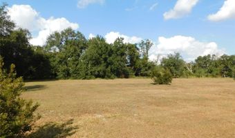 2460 NW GARVIN Ave, Arcadia, FL 34266