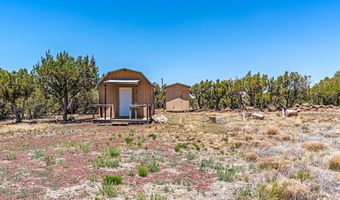 688 Stanford Dr, Concho, AZ 85924