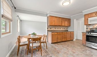 1113 S Haddow Ave, Arlington Heights, IL 60005