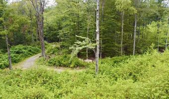 224 Arrau Rd, Andover, VT 05143
