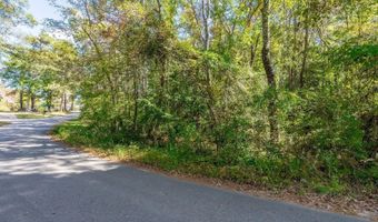 Barnes Rd, Andrews, SC 29510