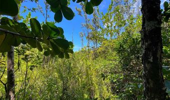 BEACH RD, Keaau, HI 96749