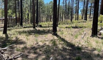 N2122, Alpine, AZ 85920