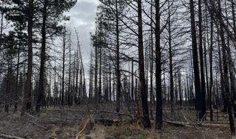 1100 Yellow Pine Rd, Bly, OR 97622
