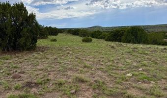 85 CR 8128 Lots 100 101 & 108, Concho, AZ 85924