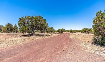 688 Stanford Dr, Concho, AZ 85924