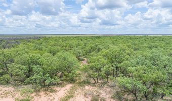 CR 260, Anson, TX 79501