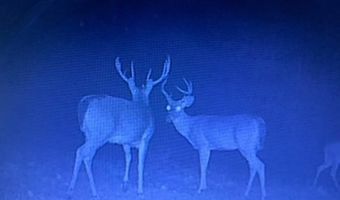 9030 HILLANDALE Dr, Auburn, AL 36830