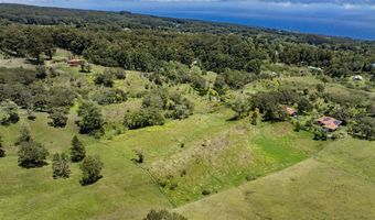 44-3791 KUKUIPAPA Rd, Honokaa, HI 96727