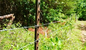 843 Wilson Ml, Bassett, VA 24055