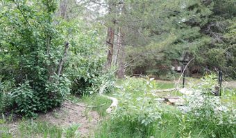 993 E Side Ave, Jarbidge, NV 89826