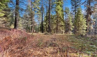 1715 Grouse Trl, Donnelly, ID 83615