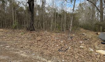 5510 Mauss Hill Rd, Adams Run, SC 29426