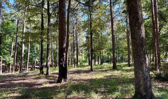 475 Co Rd 411, Abbeville, AL 36854