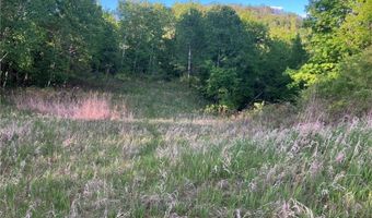 N3953-201 Bear Pen Road, Arkansaw, WI 54721