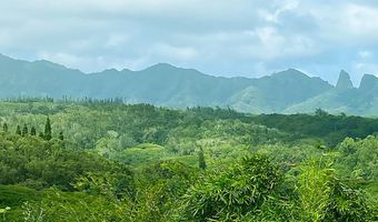LAIPO RD, Kapaa, HI 96746