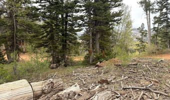 646 W Ski View Dr, Brian Head, UT 84719
