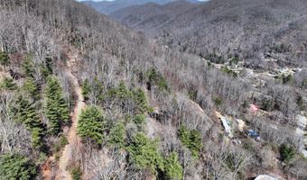 99999 Green Ridge Falls Rd 17, Barnardsville, NC 28709