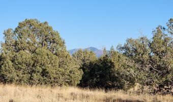 88- B Rose Ln, Ash Fork, AZ 86320