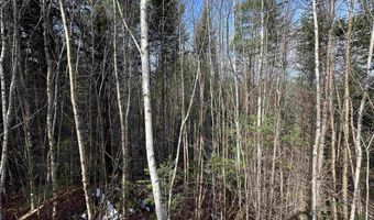 Lot 109 Steeple View Drive, Bethlehem, NH 03574