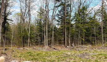 TM 413 L 99 King Road, Alexandria, NH 03222